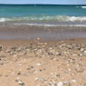 Meet your Posher, Sutton